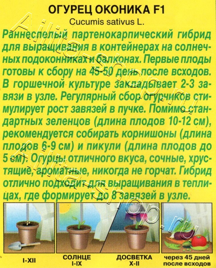 Огурец Оконика F1 10шт