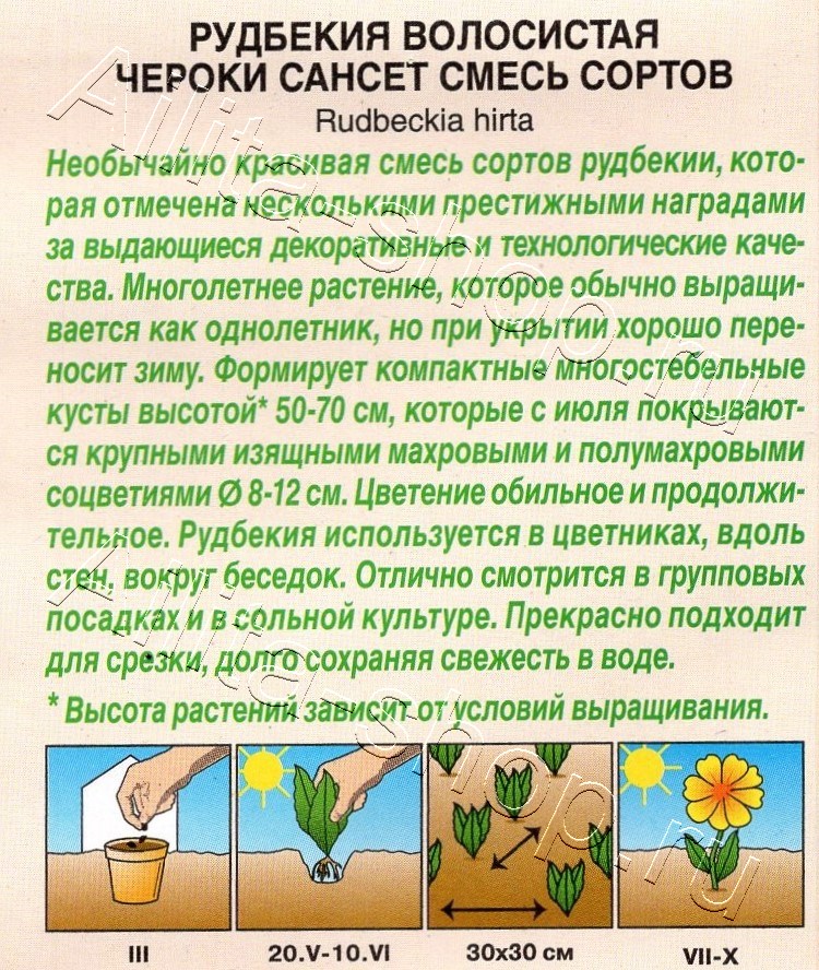 Рудбекия Чероки сансет, смесь сортов 5шт