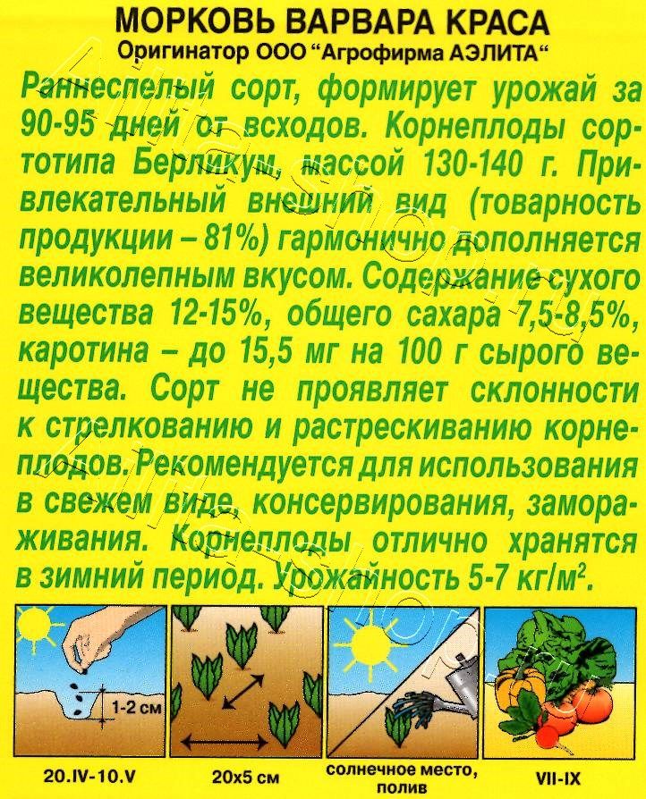 Морковь Варвара краса 2г