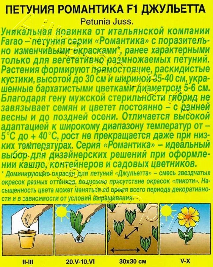 Петуния Романтика F1 джульетта 5шт