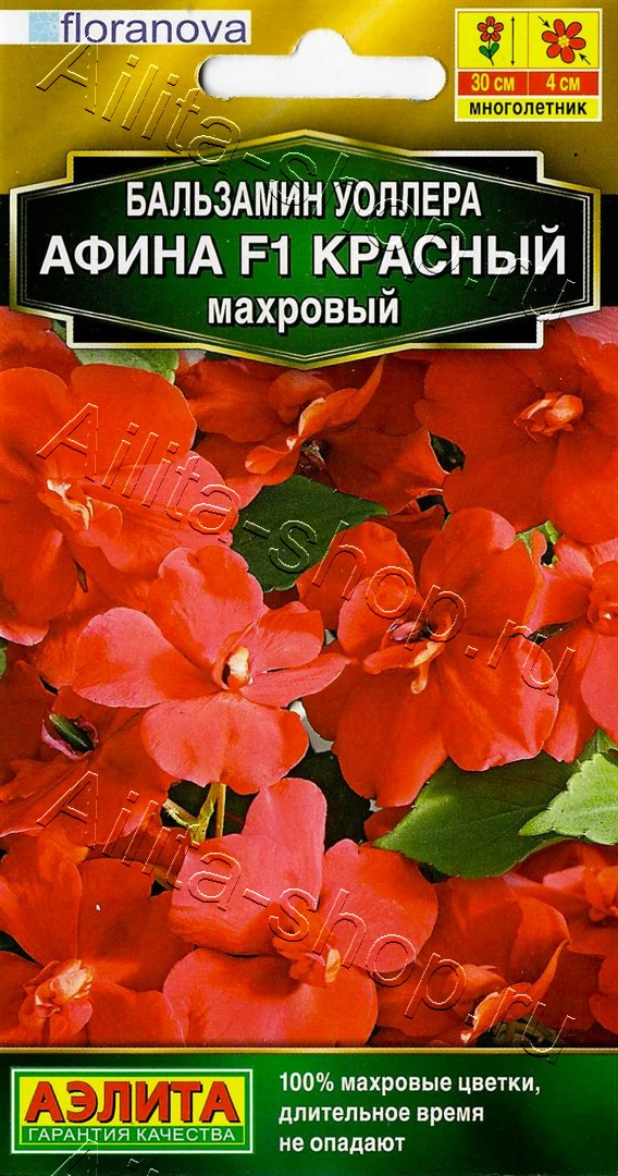 Бальзамин Афина F1 красный махровый
