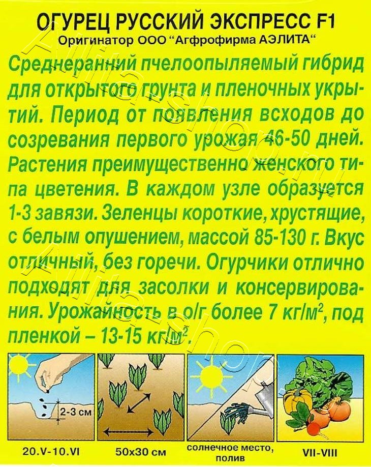 Огурец Русский экспресс F1 10шт