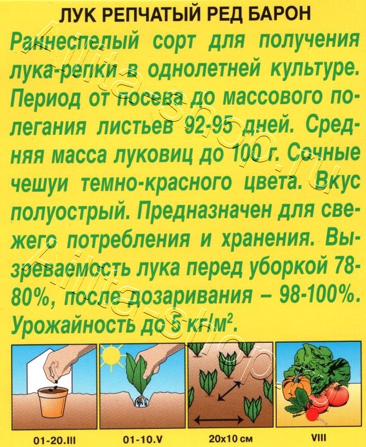 Лук репчатый Ред Барон 0,5г