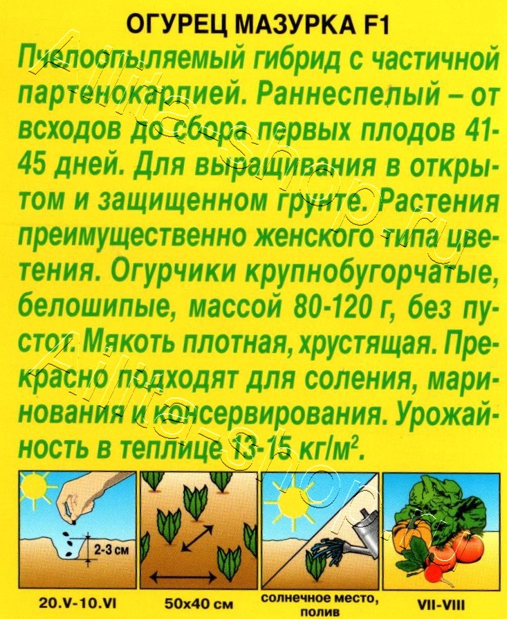 Огурец Мазурка F1 10шт