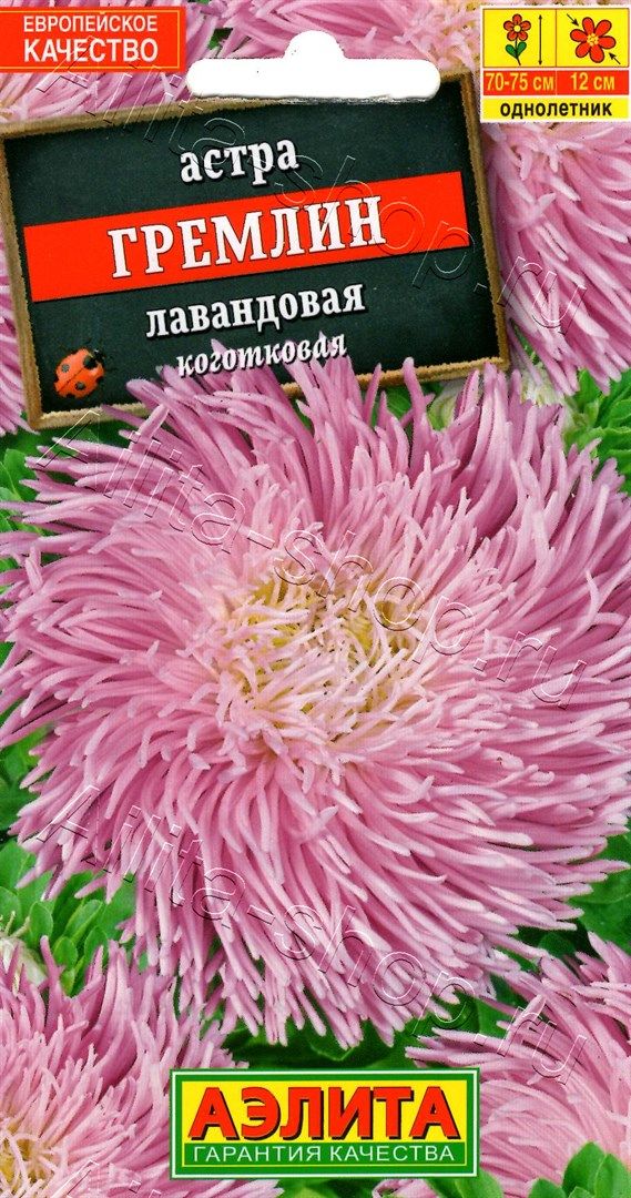 Астра Гремлин лавандовая 0,2г