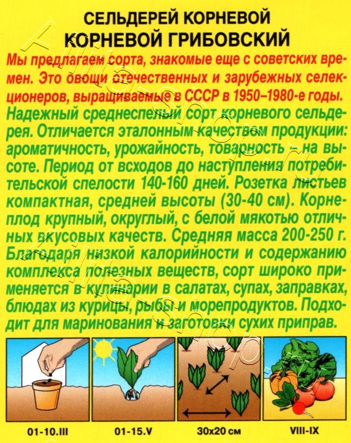 Сельдерей корневой Грибовский 0,5г