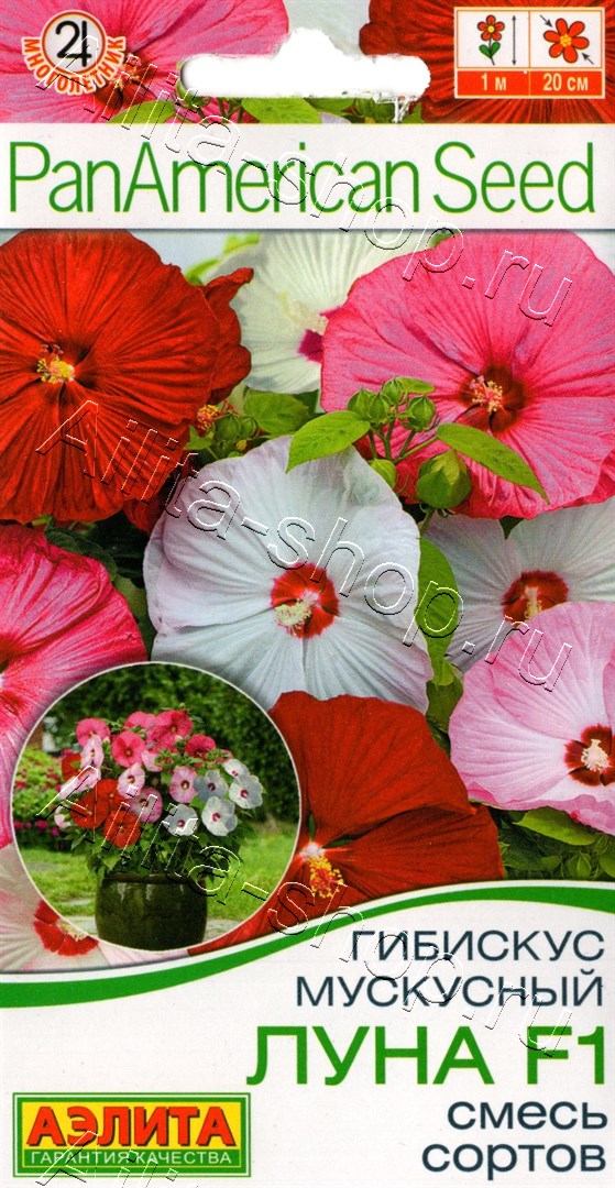 Гибискус мускусный Луна F1, смесь сортов 3шт