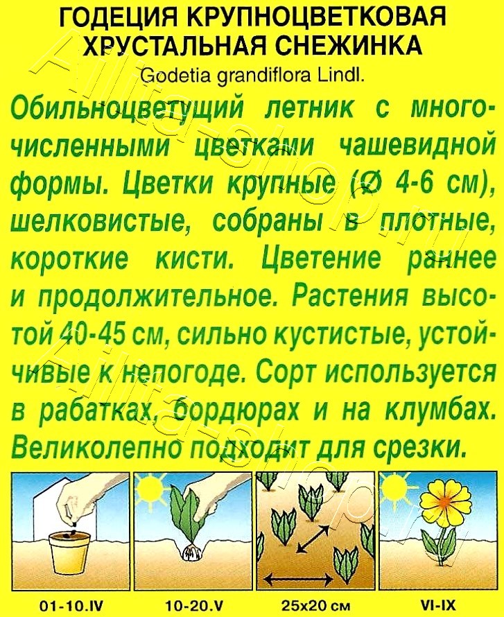 Годеция Хрустальная снежинка 0,05г