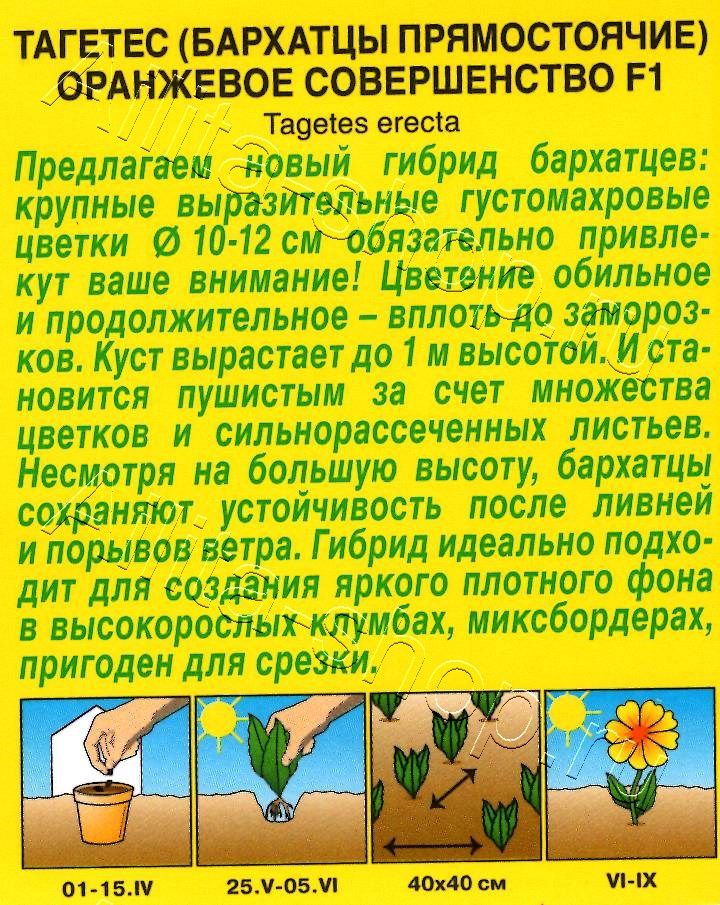 Бархатцы Оранжевое совершенство F1 прямостоячие 10шт