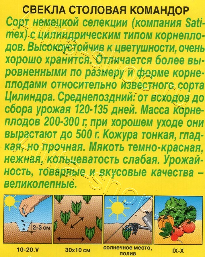 Свекла столовая Командор 2г