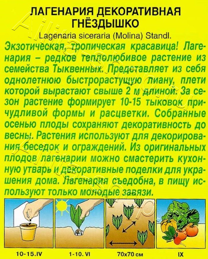 Лагенария декоративная Гнездышко 1г