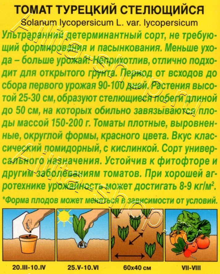 Томат Турецкий стелющийся 15шт