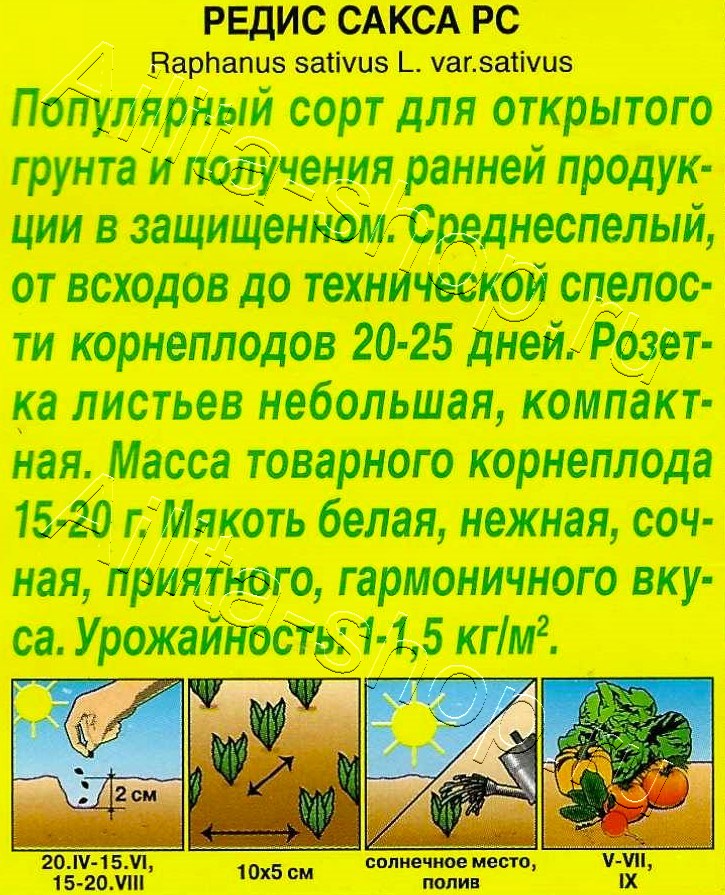Редис Сакса РС 2г