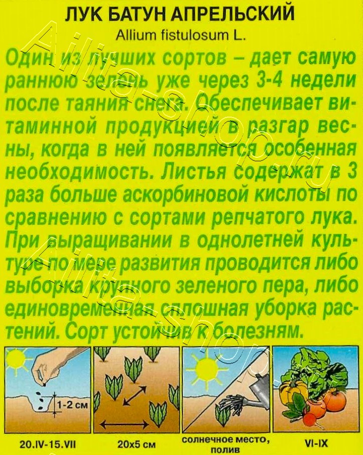 Лук батун Апрельский 0,5г