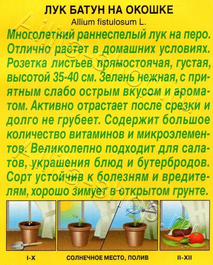 Лук батун На окошке 0,3г