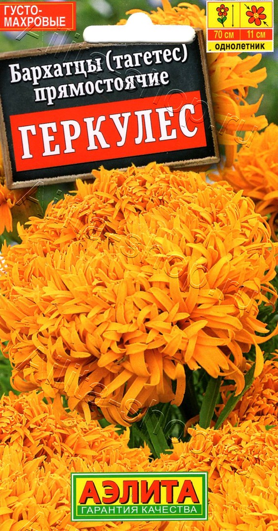 Бархатцы Геркулес прямостоячие 0,1г