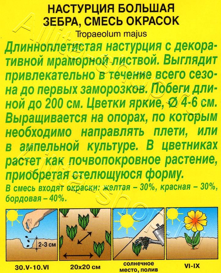 Настурция Зебра, смесь окрасок 1г