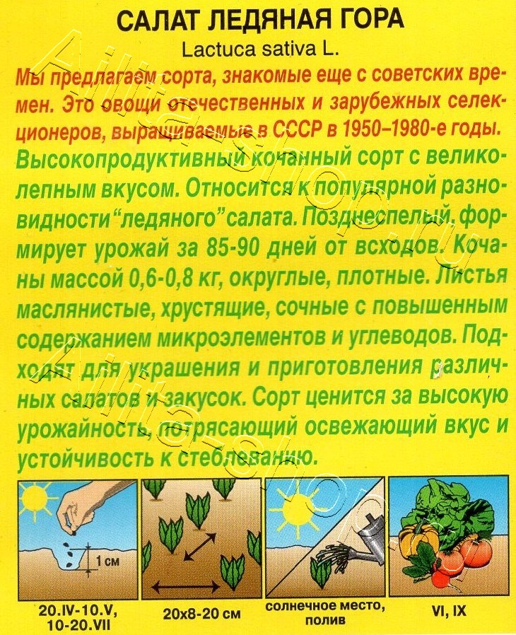 Салат Ледяная гора 0,3г