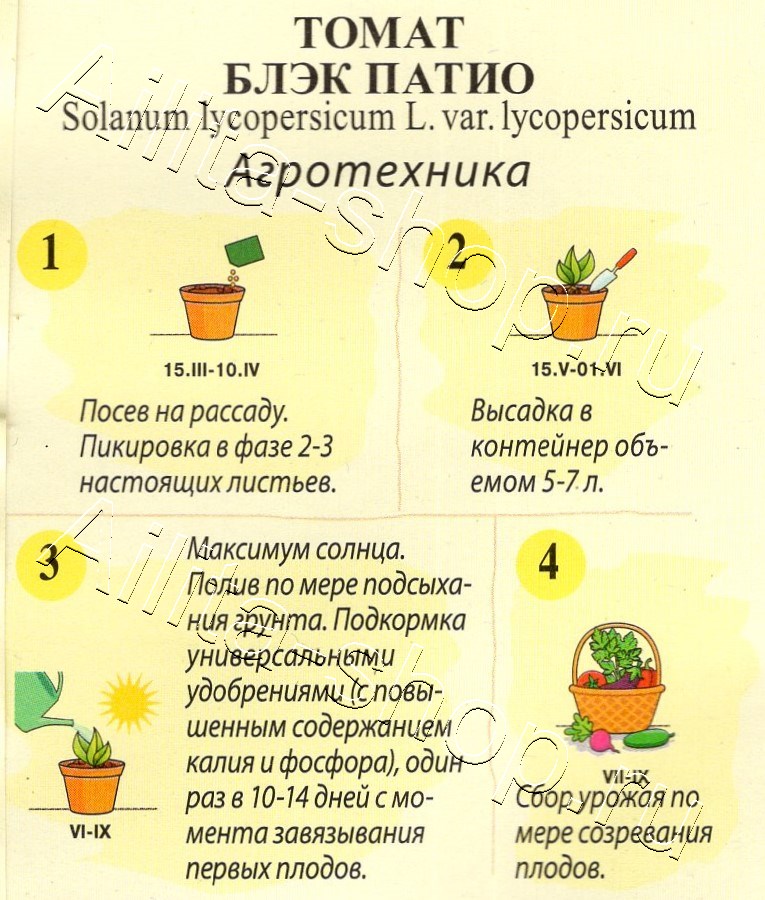 Томат Блэк патио 10шт