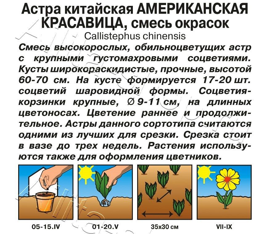 Астра Американская красавица, смесь окрасок 0,2г