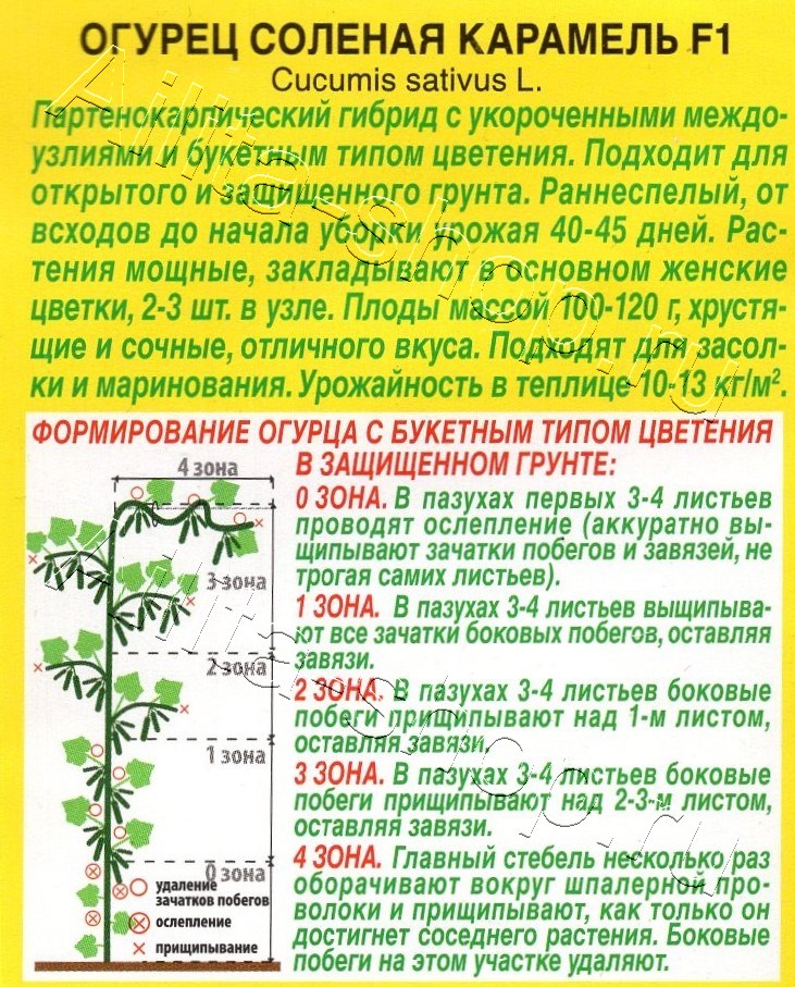 Огурец Соленая карамель F1 10шт