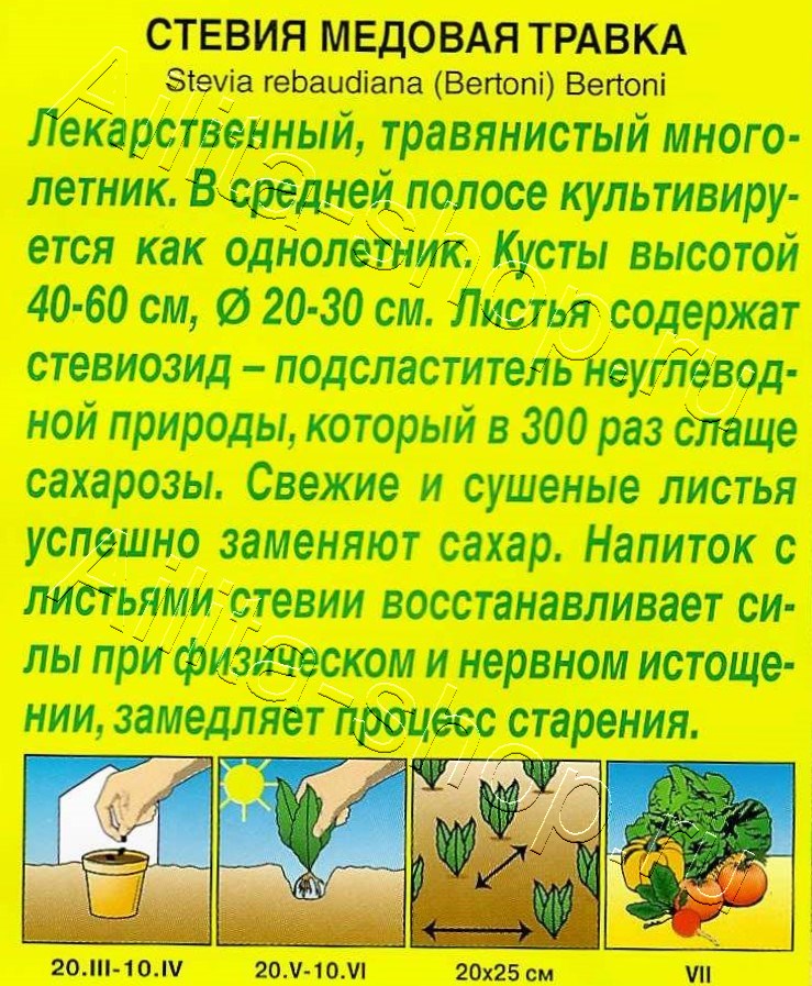 Стевия Медовая травка 7шт