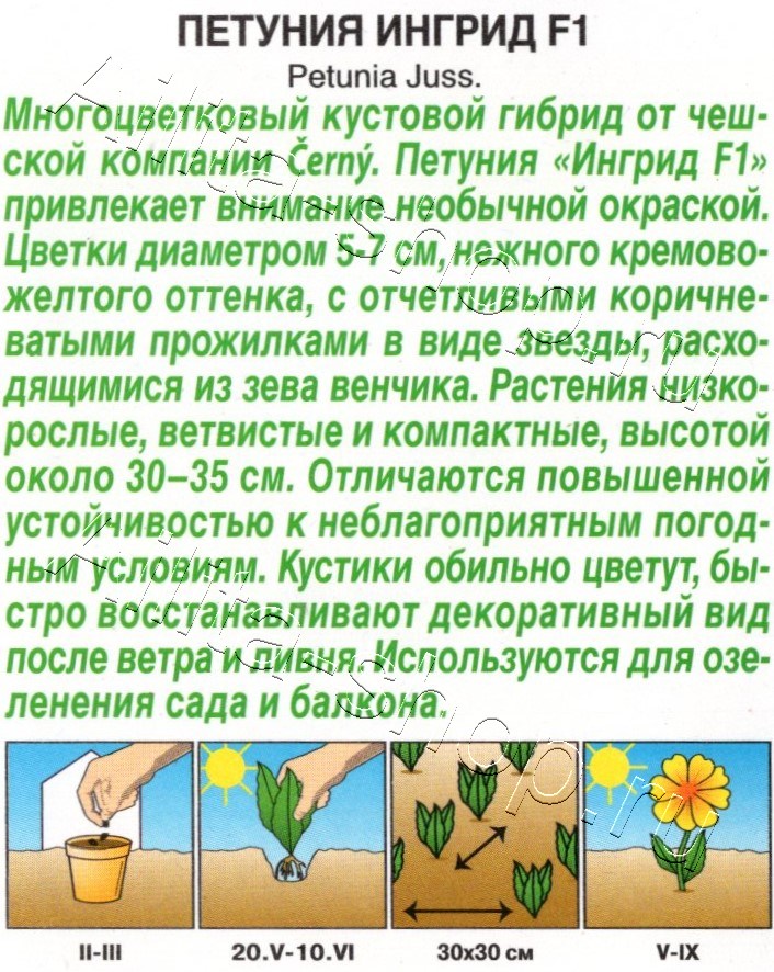 Петуния Ингрид F1 многоцветковая 7шт