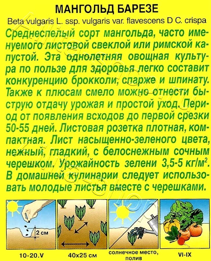 Мангольд Барезе 1г