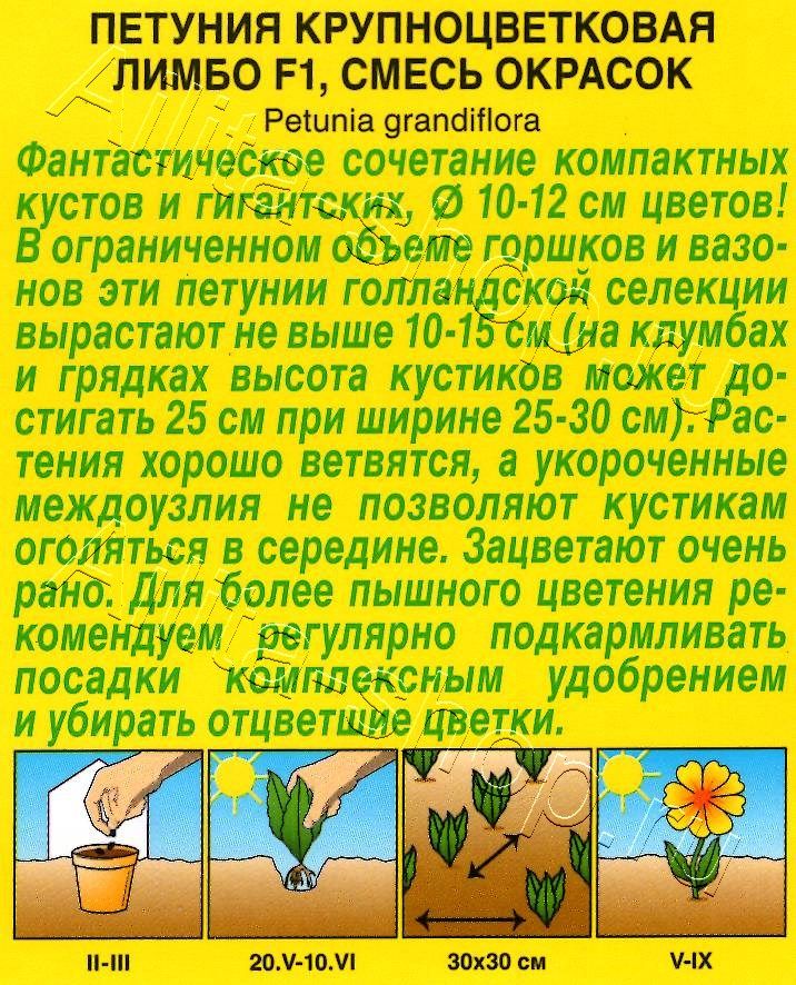 Петуния Лимбо F1 крупноцветковая, смесь окрасок 7шт