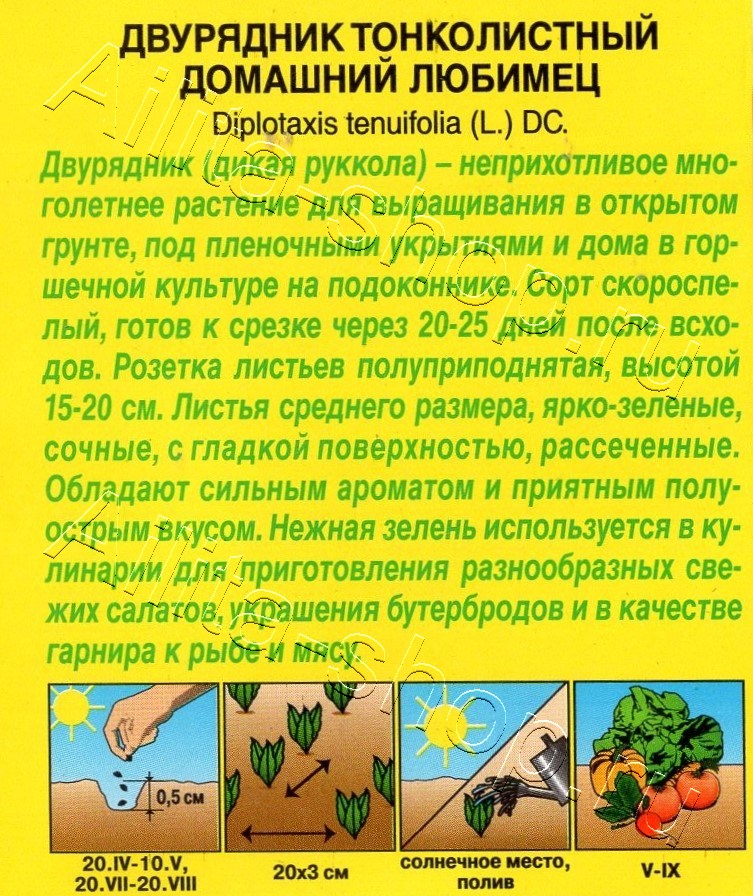 Двурядник тонколистный Домашний любимец 0,05г