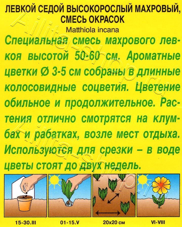 Левкой Высокорослый махровый, смесь окрасок 0,1г