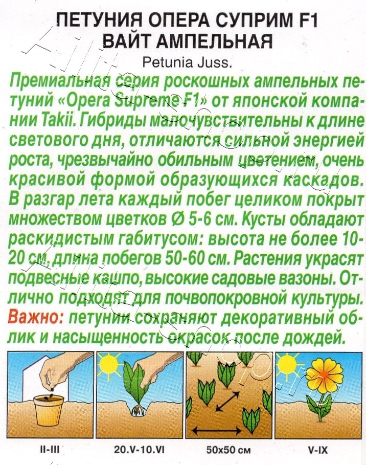 Петуния Опера суприм F1 вайт ампельная 4шт