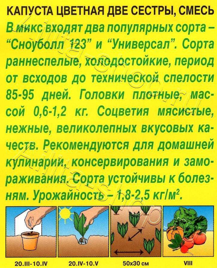 Капуста цветная Две сестры, смесь 0,3г