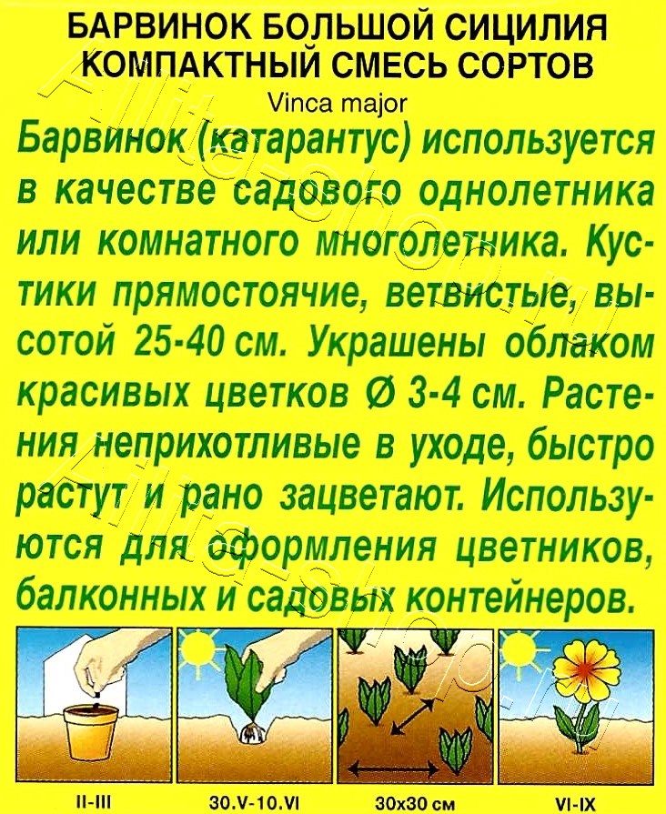 Барвинок Сицилия, смесь окрасок 0,1г