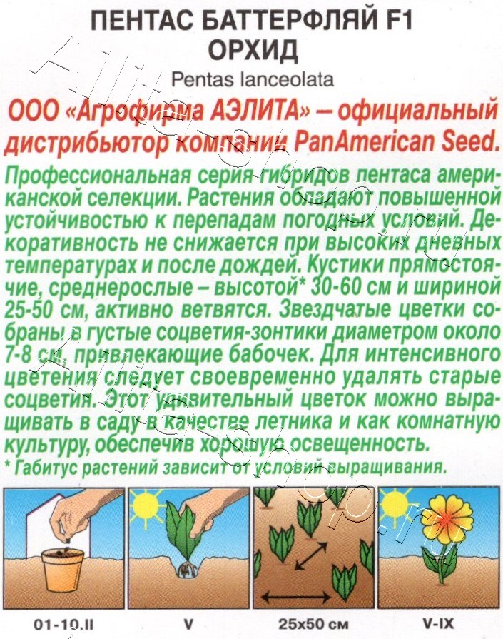 Пентас Баттерфляй F1 орхид 3шт
