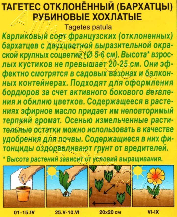 Бархатцы Рубиновые хохлатые отклоненные 0,3г