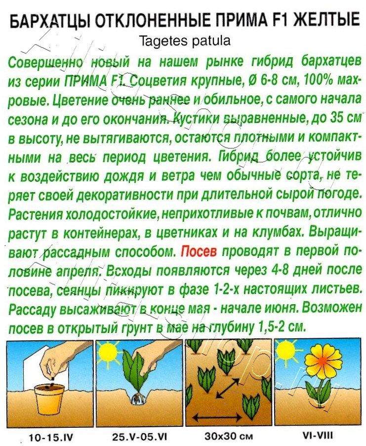 Бархатцы Прима желтые F1 отклоненные 15шт