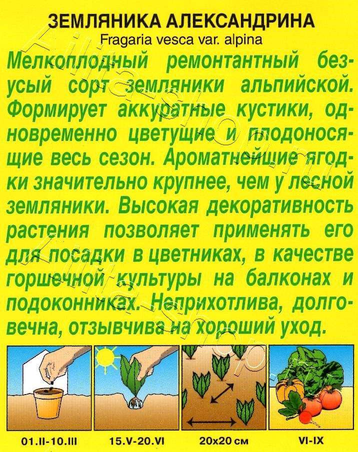 Земляника Александрина 0,04г