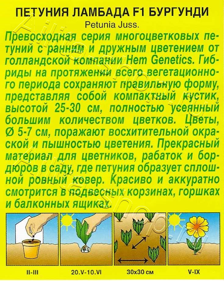Петуния Ламбада F1 бургунди многоцветковая 7шт