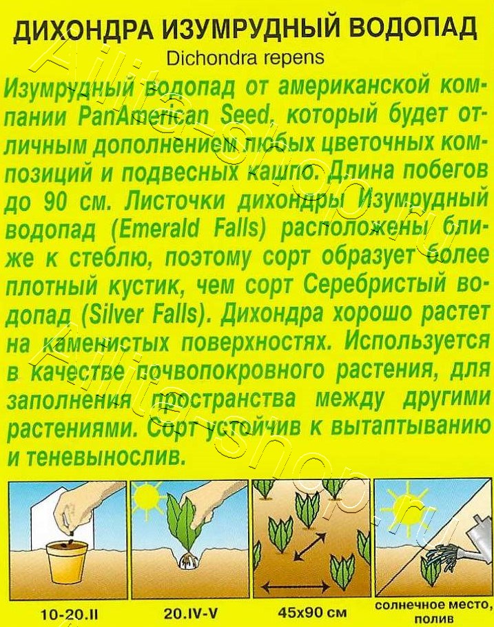 Дихондра Изумрудный водопад 3шт