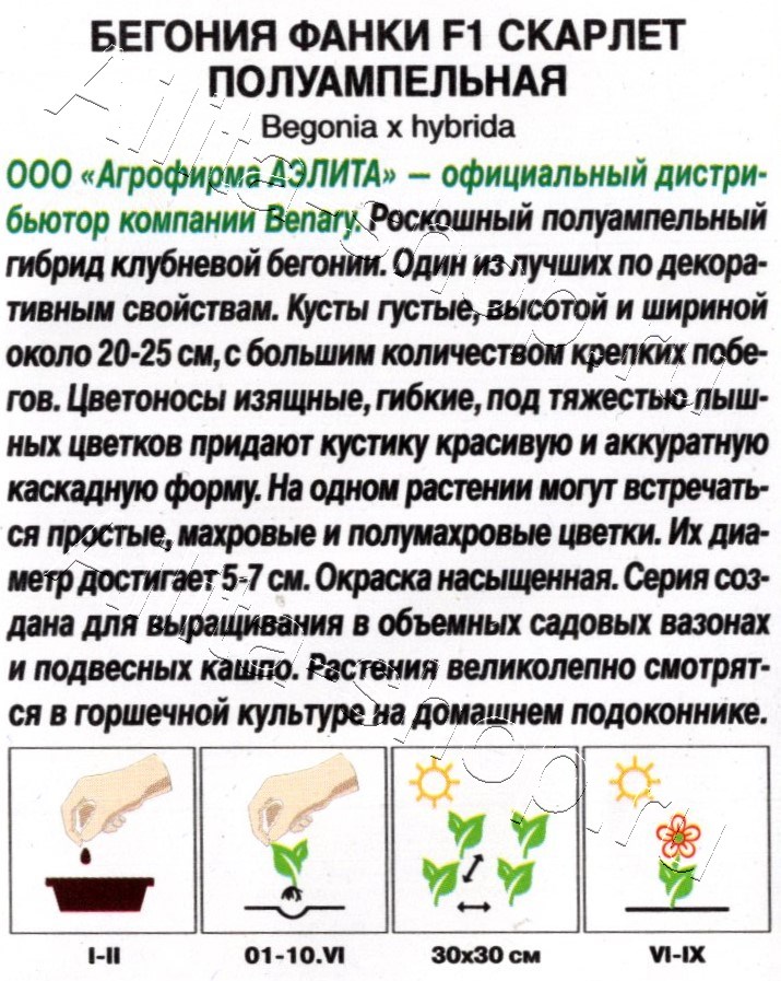 Бегония Фанки F1 скарлет полуампельная 4шт
