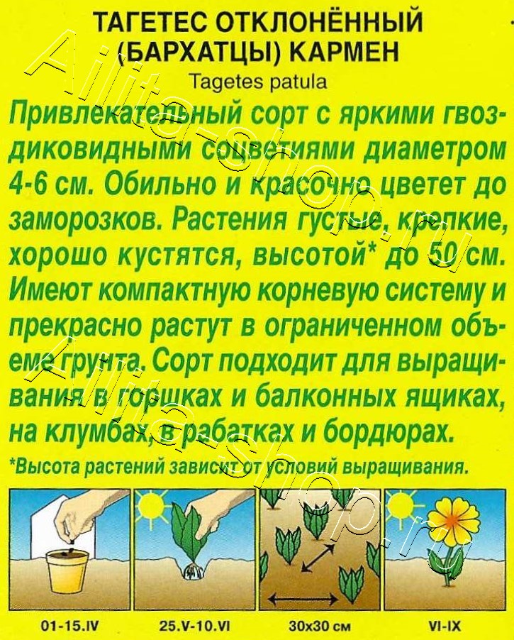 Бархатцы Кармен отклоненные 0,3г