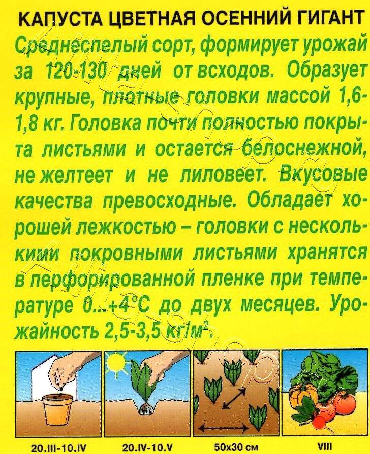 Капуста цветная Осенний гигант 0,3г