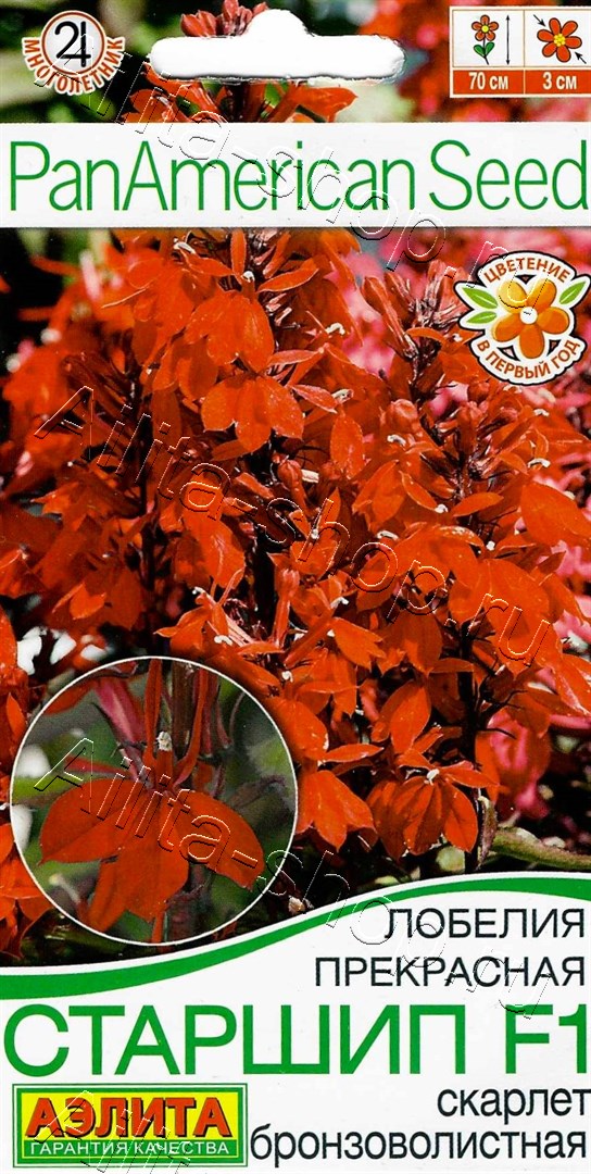 Лобелия Старшип F1 скарлет бронзоволистная 5шт