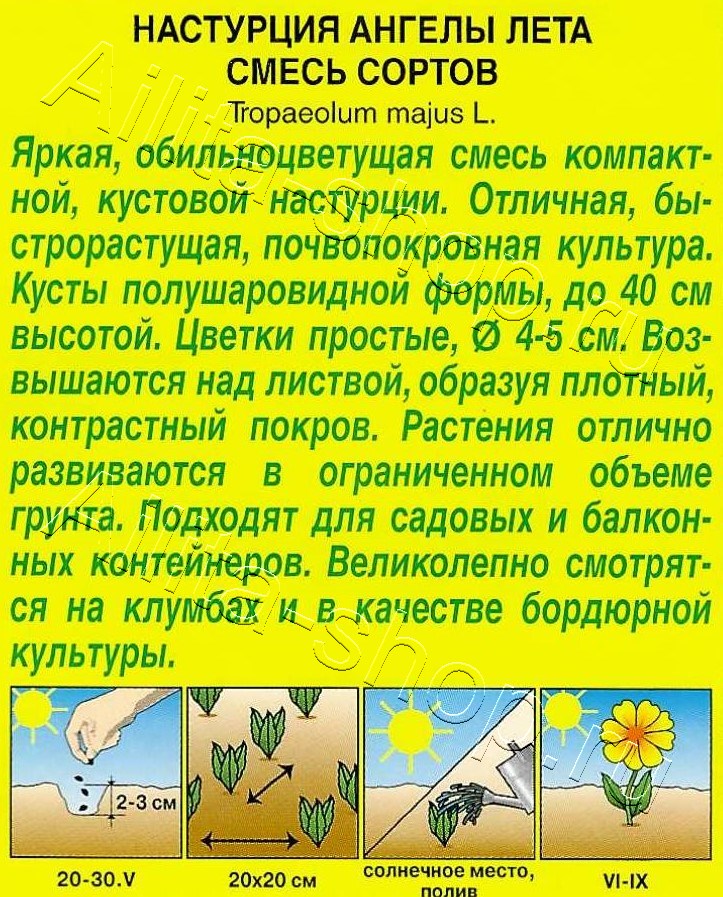 Настурция Ангелы лета, смесь окрасок 1г