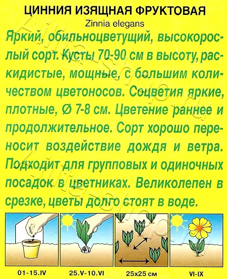 Цинния Фруктовая 0,3г