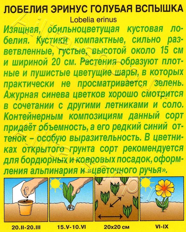 Лобелия Голубая вспышка 0,05г