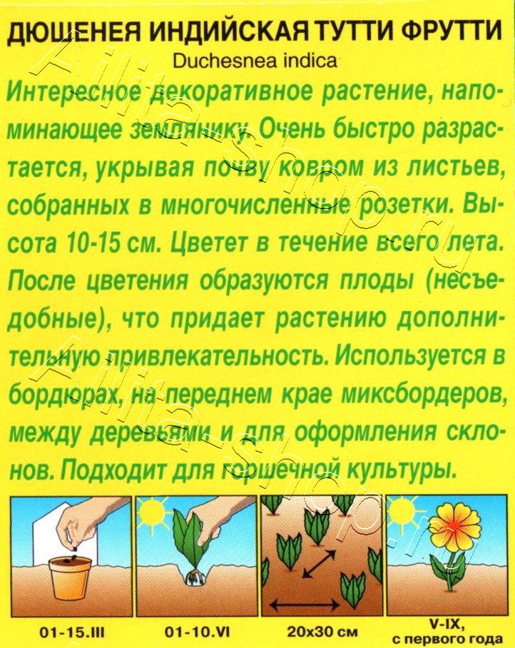 Дюшенея индийская Тутти Фрутти 0,04г