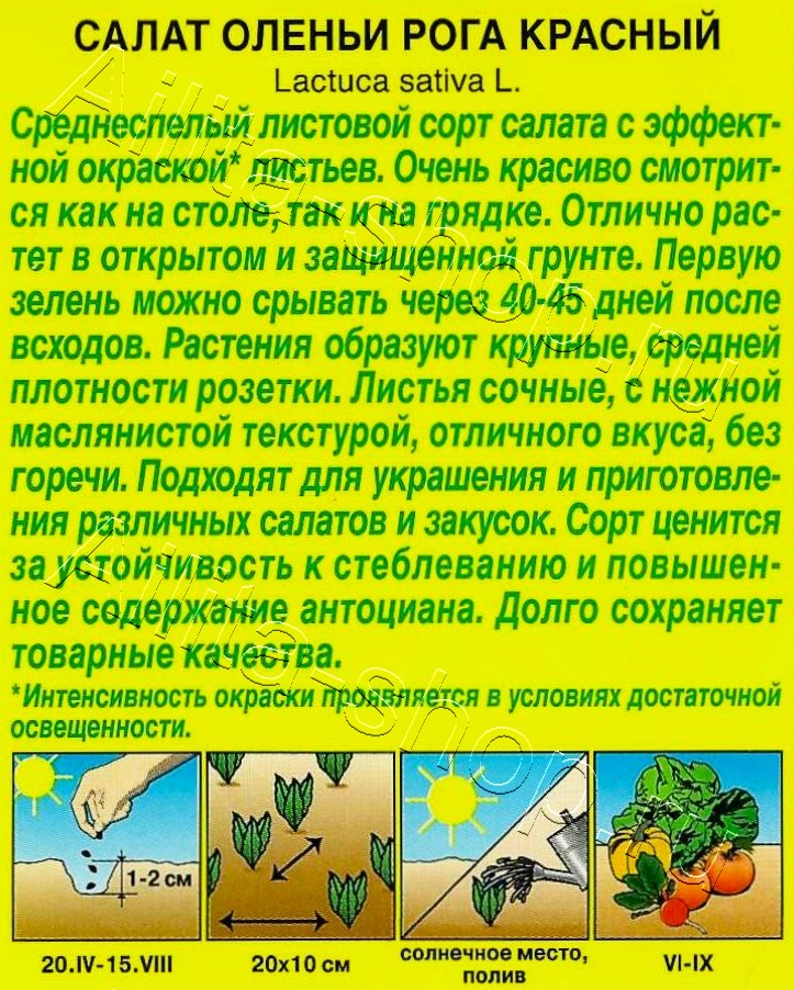 Салат Оленьи рога красный 0,1г