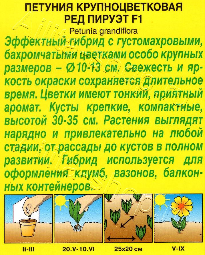 Петуния Ред пируэт F1 крупноцветковая махровая 5шт